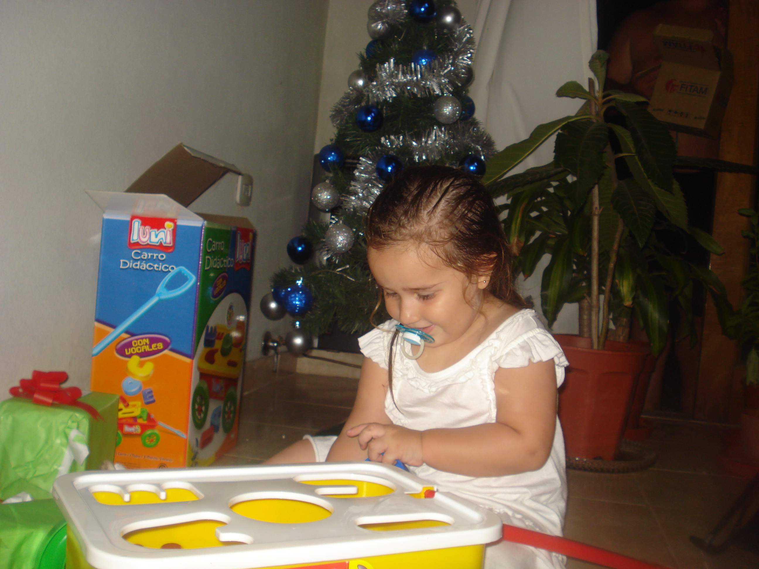 fotos/2012-12-24 - Navidad y pileta/DSC05095.JPG